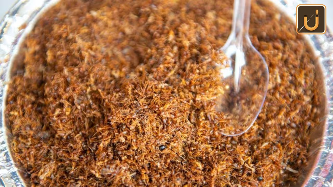 Usthadian Academy / Red Ant Chutney Of Odisha Receives Geographical Indication (GI) Tag